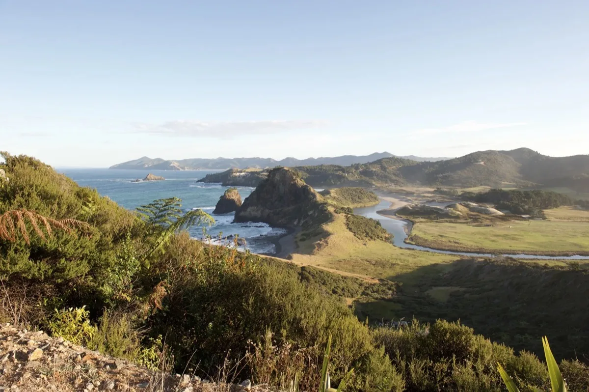 Wild coastline and native bush at Awana, Great Barrier Island — typical of the landscape surrounding DOC campsites