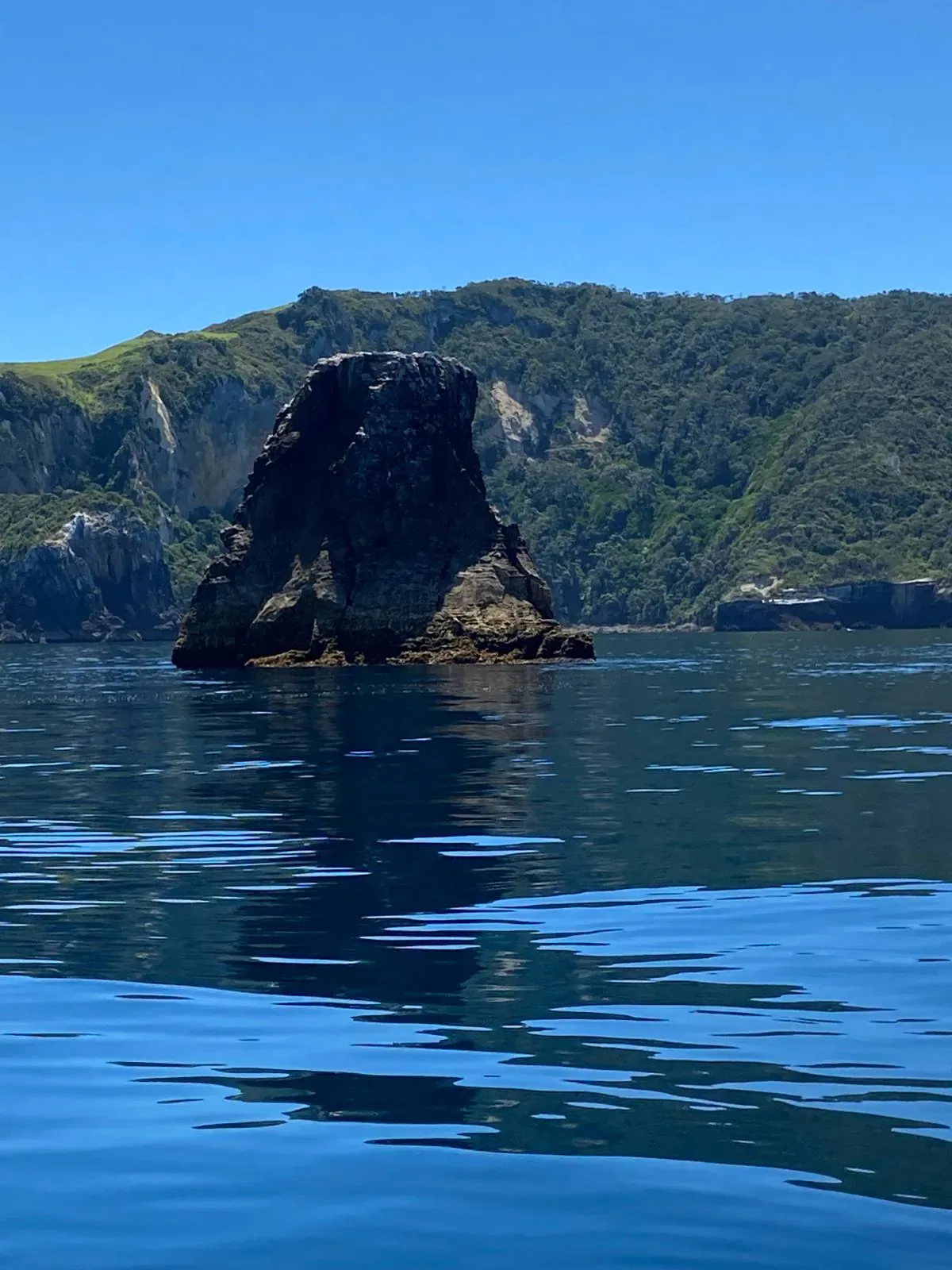 Rocky coastline of Aotea Great Barrier Island seen from the water — one of New Zealand's most dramatic and unspoiled island destinations