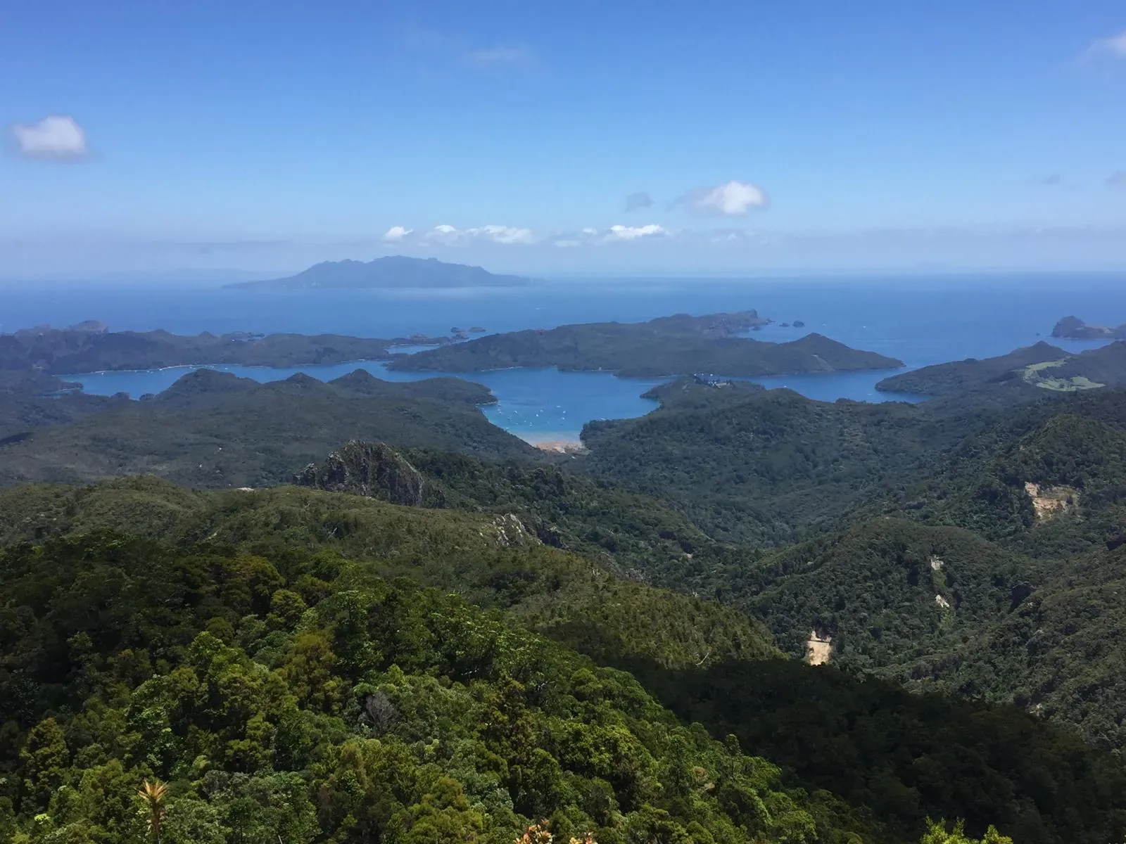 The view from Mount Hobson summit, Great Barrier Island — looking west over Port Fitzroy and the Hauraki Gulf