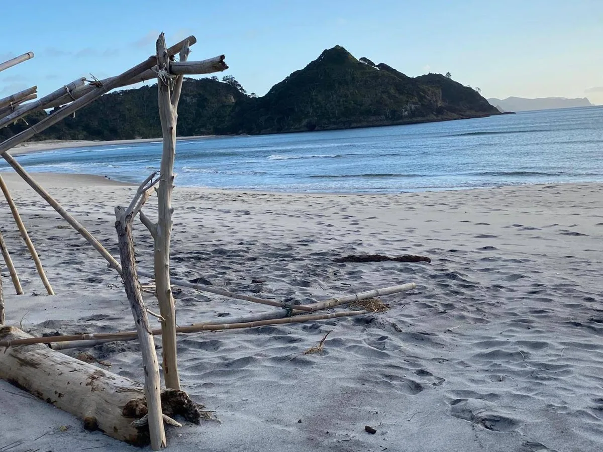 Empty beach at dawn on Great Barrier Island with driftwood sculpture and rocky headland