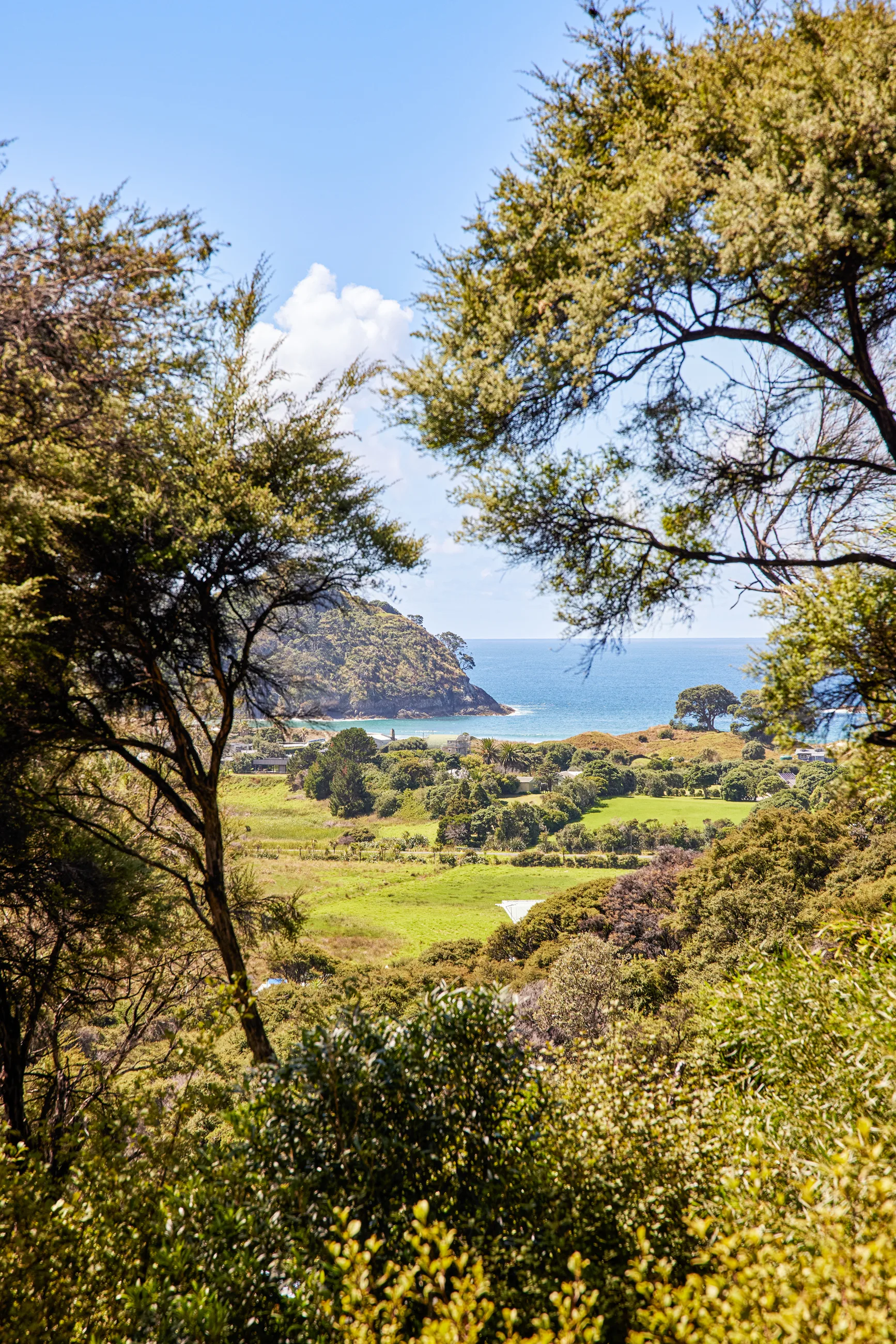 Tree House — off-grid holiday home, Medlands Beach, Great Barrier Island